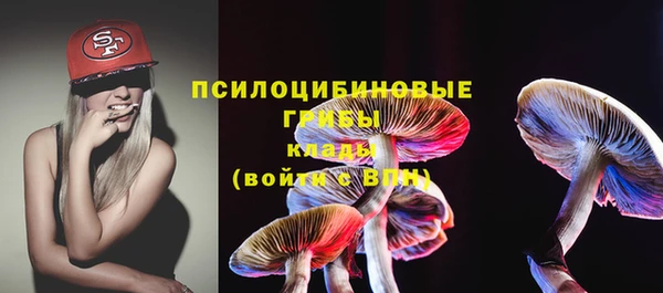 шишки Алексин