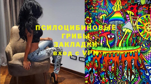 соль ск Абдулино
