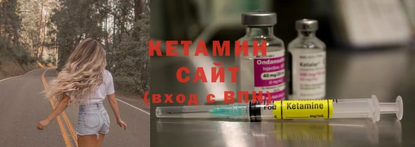 шишки Абаза