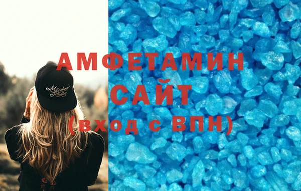 шишки Абаза