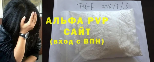 шишки Абаза
