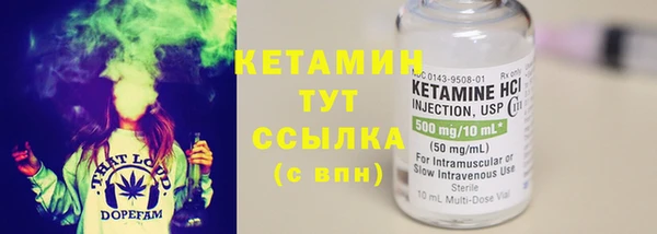 шишки Абаза