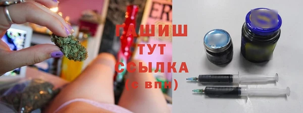 шишки Абаза