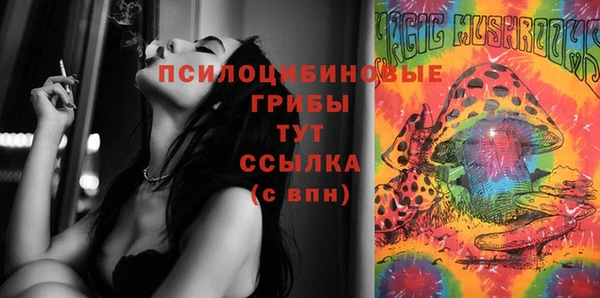 шишки Абаза