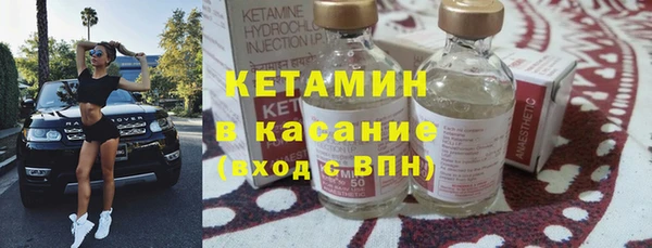 шишки Абаза