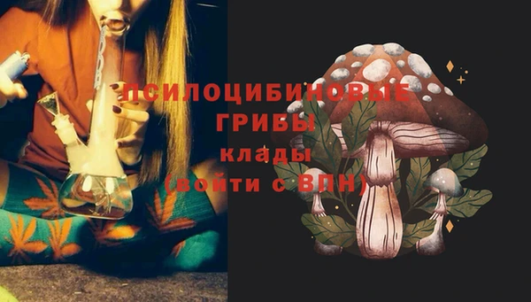 соль ск Абдулино