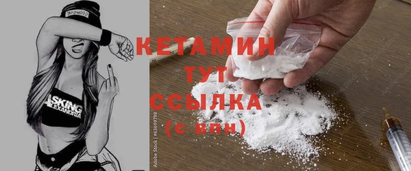 шишки Абаза