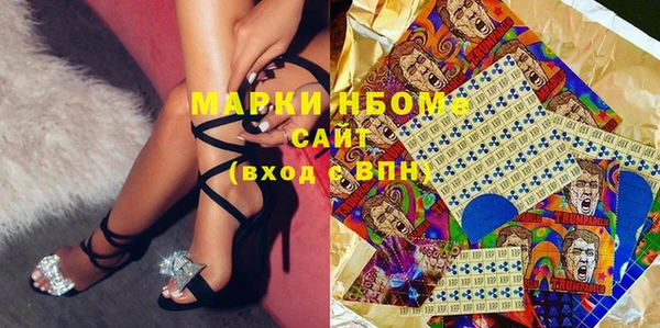 шишки Абаза