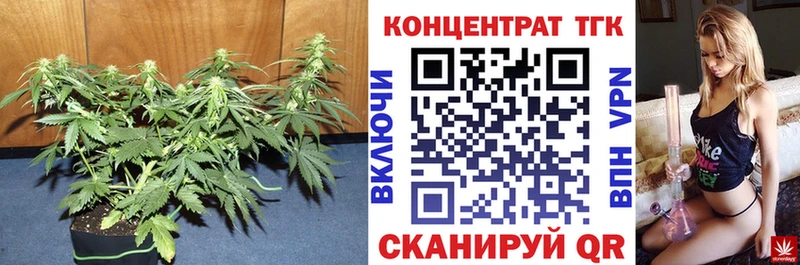 ссылка на мегу ССЫЛКА  Ржев  ТГК концентрат  хочу наркоту 