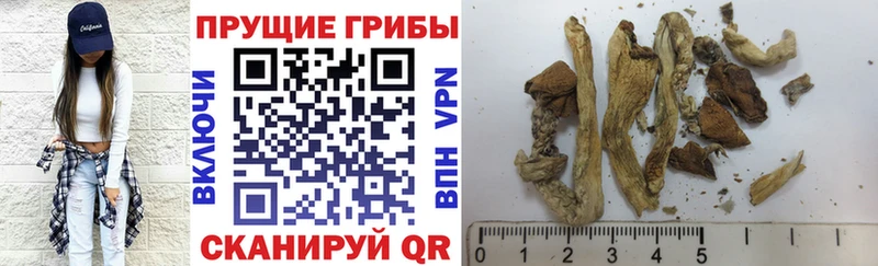 Галлюциногенные грибы мухоморы  Ржев 